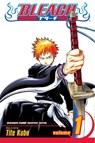 Bleach, Vol. 1 - Tite Kubo - 9781591164418