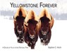 YELLOWSTONE FOREVER - Stephen C. Hinch - 9781591521693