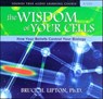 The Wisdom of Your Cells -  - 9781591795223