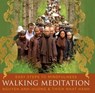 Walking Meditation - Thich Nhat Hanh ; Nguyen Anh-Huong - 9781591798828