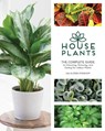 Houseplants - Lisa Eldred Steinkopf - 9781591866909
