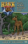 Lost in the Dark Unchanted Forest - John R. Erickson - 9781591881117