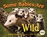 Some Babies Are Wild - Marion Dane Bauer - 9781591930846
