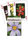 Wildflowers of the Southeast -  - 9781591933687