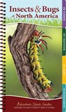 Insects & Bugs of North America - Jaret C. Daniels - 9781591938187