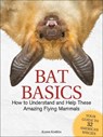 Bat Basics - Karen Krebbs - 9781591938439