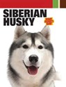 Siberian Husky -  - 9781593788414