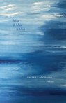 Blue and Blue and Blue - Darren C. Demaree - 9781594981333