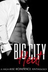 Big City Heat: A High-Rise Romance Anthology - Hazel Storm ; PE Kavanagh ; Phoebe Alexander ; Aidy Award ; Jodi Payne ; Maida Malby ; Stella Williams ; Lucy Eden ; Moni Boyce ; Jayce Ellis ; Emily Gray ; Bree Kraemer - 9781595730176