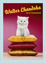 Walter chandoha: the cat photographer - walter chandoha - 9781597113304