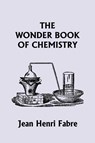 The Wonder Book of Chemistry (Yesterday's Classics) - Jean Henri Fabre - 9781599152530
