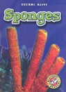 Sponges - Colleen Sexton - 9781600142680