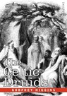 The Celtic Druids - Godfrey Higgins - 9781602066700