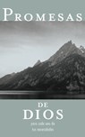 Promesas de Dios para cada una de tus necesidades - Jack Countryman - 9781602553514