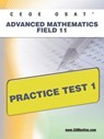 Ceoe Osat Advanced Mathematics Field 11 Practice Test 1 - Sharon A. Wynne - 9781607872474