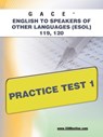 Gace English to Speakers of Other Languages (Esol) 119, 120 Practice Test 1 - Sharon A. Wynne - 9781607873198