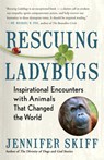 Rescuing Ladybugs - Jennifer Skiff - 9781608685028