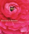 Moments in Between - David Kundtz - 9781609253653