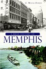 A Brief History of Memphis - G. Wayne Dowdy - 9781609494407