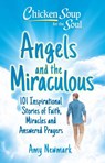Chicken Soup for the Soul: Angels and the Miraculous - Amy Newmark - 9781611591040