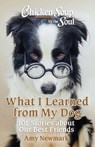 Chicken Soup for the Soul: What I Learned from My Dog - Amy Newmark - 9781611591194