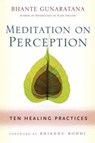 Meditation on Perception - Henepola Gunaratana - 9781614290858
