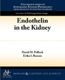 Endothelin in the Kidney - David Pollock ; Erika Boesen - 9781615042104