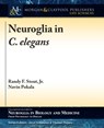 Neuroglia in C. elegans - Randy F. Stout Jr ; Navin Pokala ; Vladimir Parpura - 9781615047734