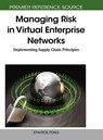 Managing Risk in Virtual Enterprise Networks - Stavros Ponis - 9781615206070