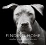Finding Home - Traer Scott - 9781616894719