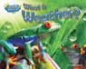 What Is Weather? - Ellen Lawrence - 9781617724053