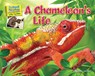 A Chameleon's Life - Ellen Lawrence - 9781617725968