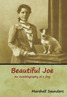 Beautiful Joe - Marshall Saunders - 9781618955708