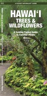 Hawai'i Trees & Wildflowers, 2nd Ed - J M Kavanagh - 9781620056431