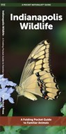 Indianapolis Wildlife - J M Kavanagh - 9781620057018