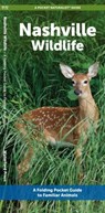 Nashville Wildlife - J M Kavanagh - 9781620057049