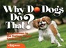 Why Do Dogs Do That? - Kim Campbell Thornton - 9781620080559
