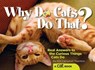Why Do Cats Do That? - Kim Campbell Thornton - 9781620080566