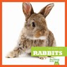 MY FIRST PET RABBITS - Cari Meister - 9781620311479