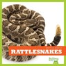 Rattlesnakes - Vanessa Black - 9781620313848