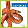 Reptiles - Erica Donner - 9781620315958