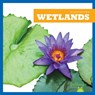 Wetlands - Nadia Higgins - 9781620316832