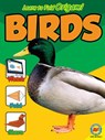 Birds - Katie Gillespie - 9781621276753