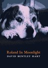 Roland in Moonlight - David Bentley Hart - 9781621386940