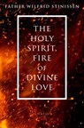 HOLY SPIRIT FIRE OF DIVINE LOV - Wilfrid Stinissen - 9781621641117