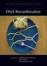 DNA Recombination - Stephen Kowalczykowski ; Neil Hunter ; Wolf-Dietrich Heyer - 9781621820093