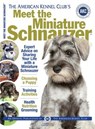 Meet the Miniature Schnauzer - American Kennel Club - 9781621870937