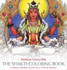 The Shakti Coloring Book - Ekabhumi Charles Ellik - 9781622034154