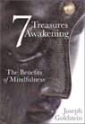 7 Treasures of Awakening - Joseph Goldstein - 9781622034239