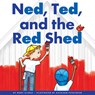 Ned, Ted, and the Red Shed - Marv Alinas - 9781622434961